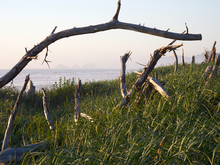 oregon_2010_054.jpg