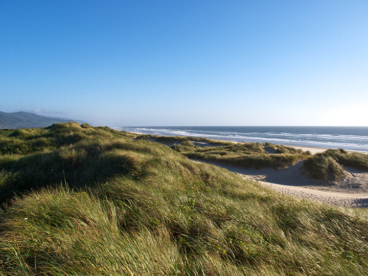 oregon_2010_157.jpg