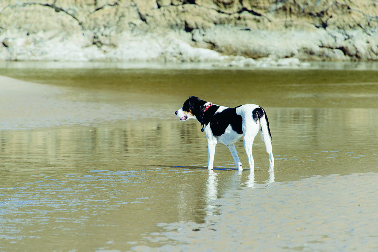 CYC_0013.jpg