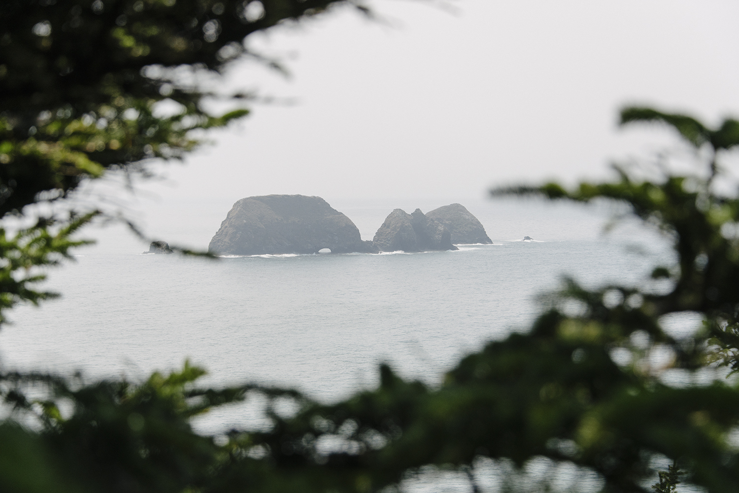CYC_0065.jpg