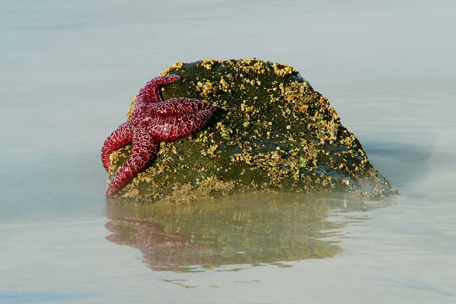 CYC_0126-2.jpg