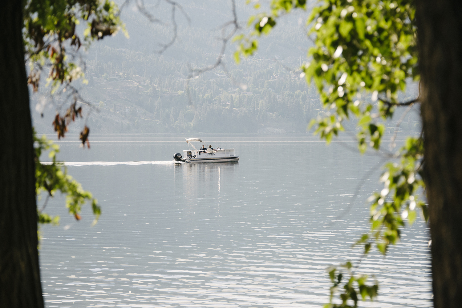 CYC_0013-2.jpg