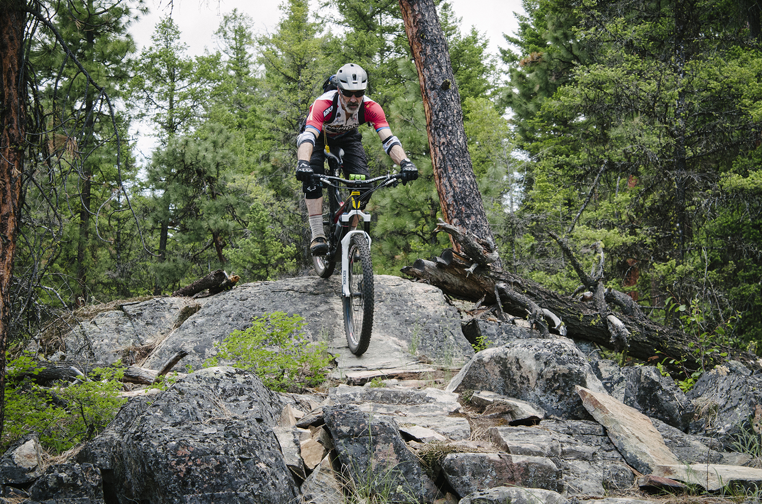 CYC_0019.jpg