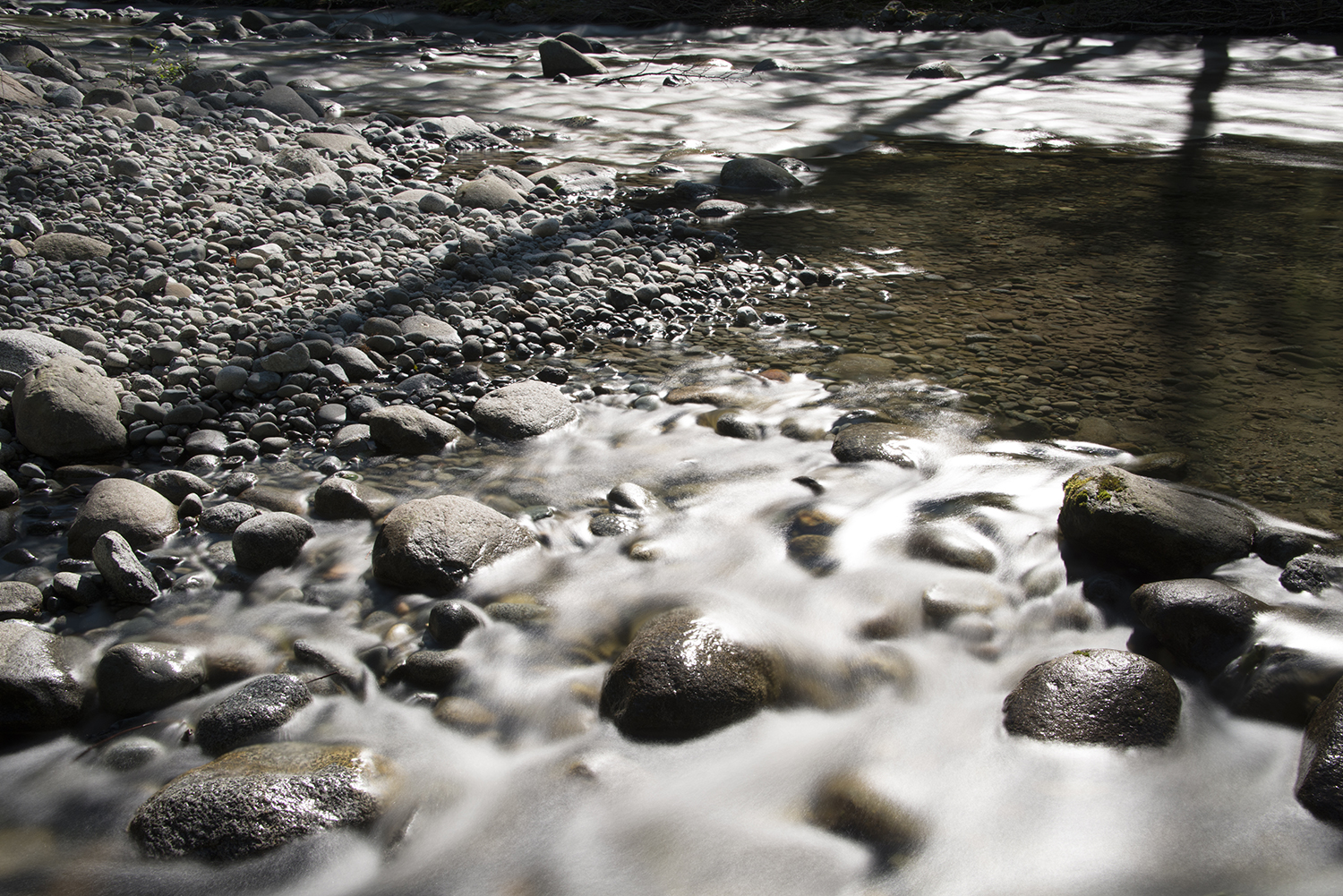 CYC_0026-2.jpg