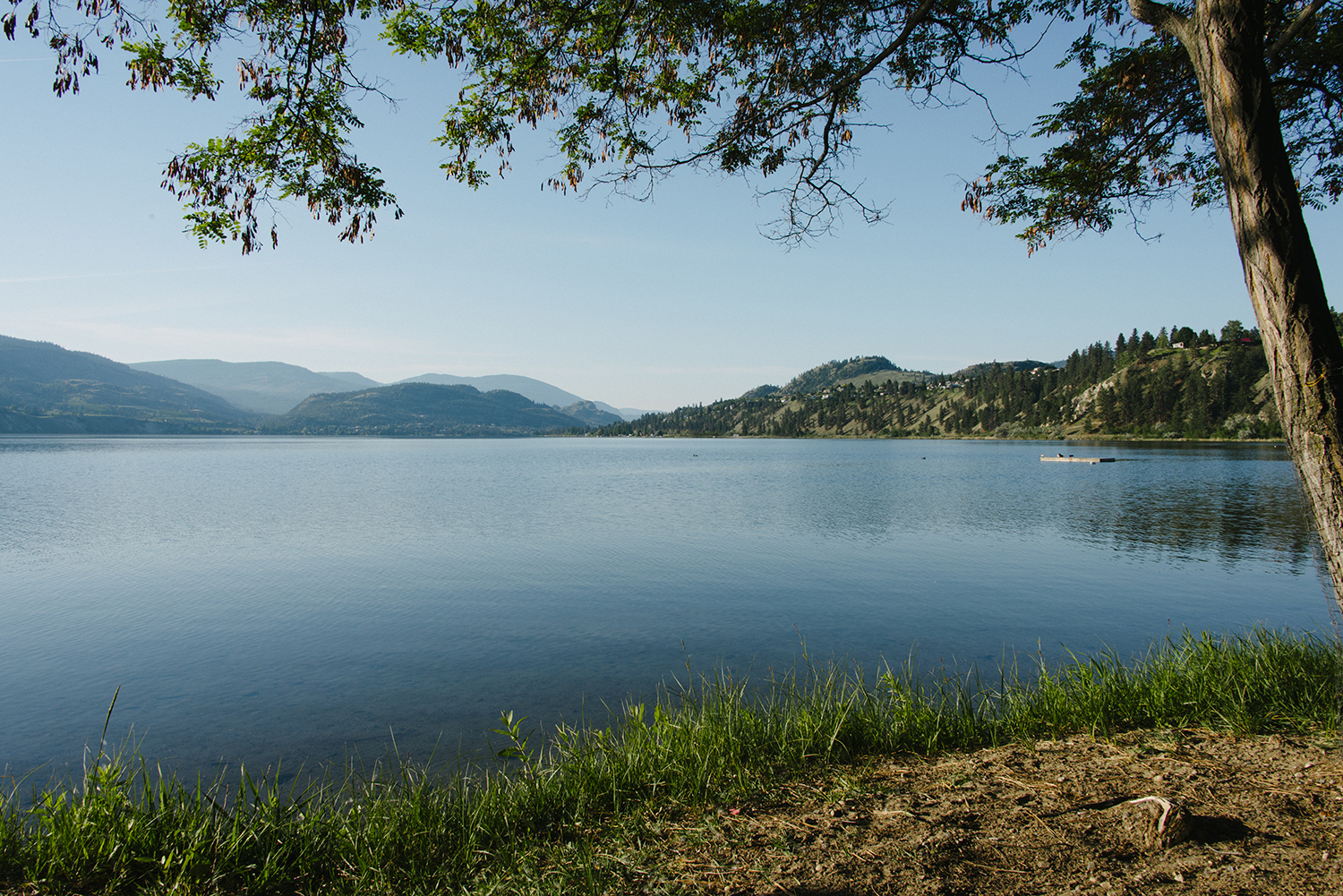 CYC_0057.jpg