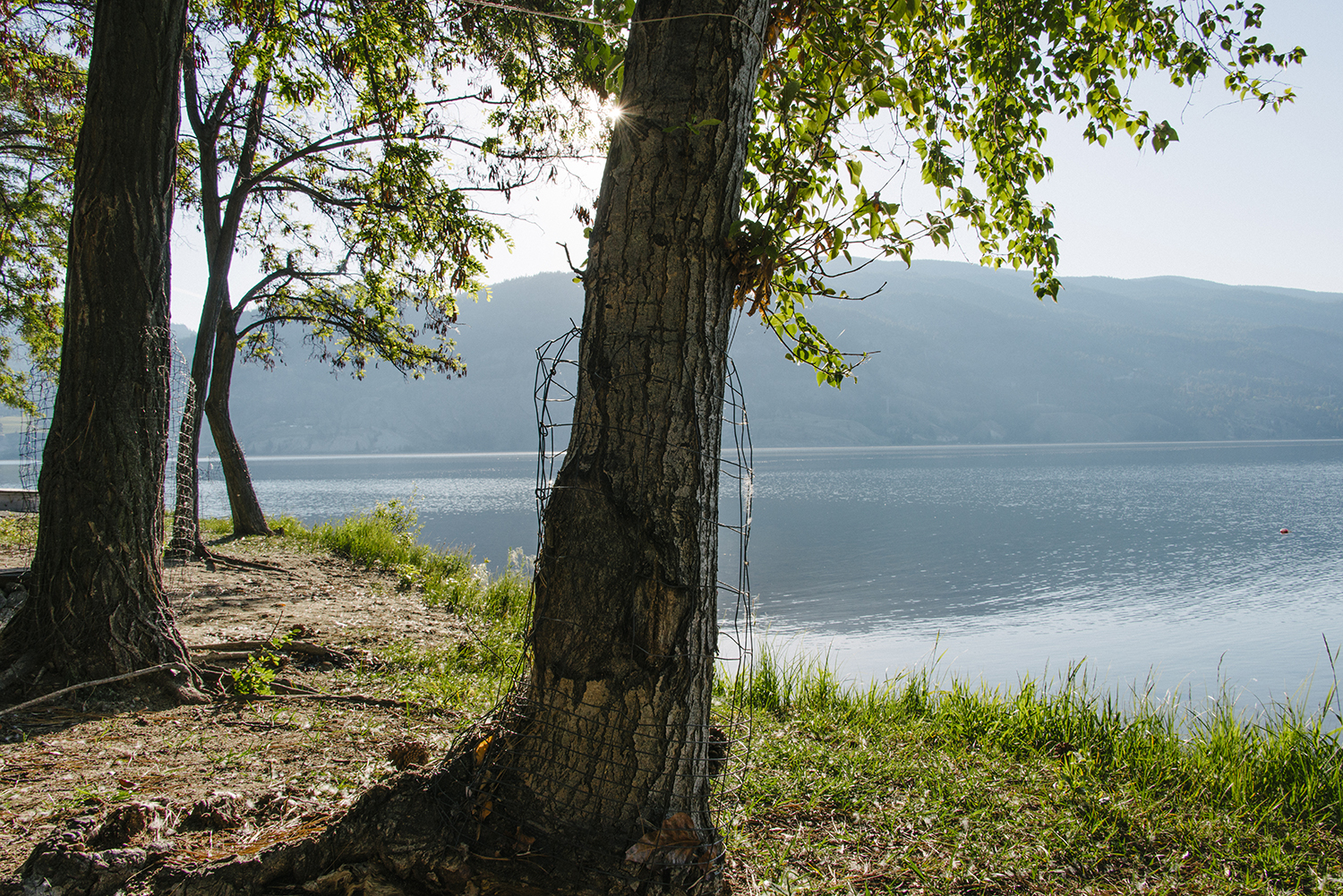 CYC_0059.jpg