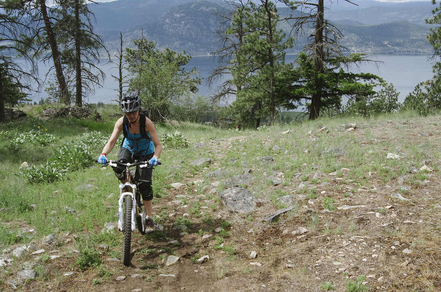 CYC_0078.jpg