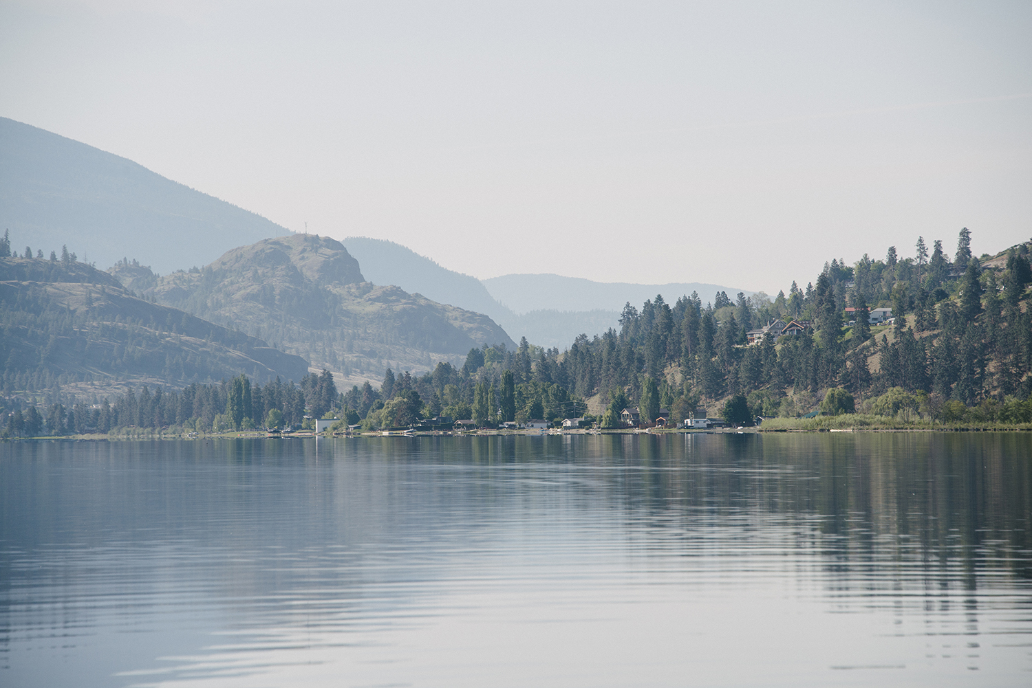 CYC_0079.jpg