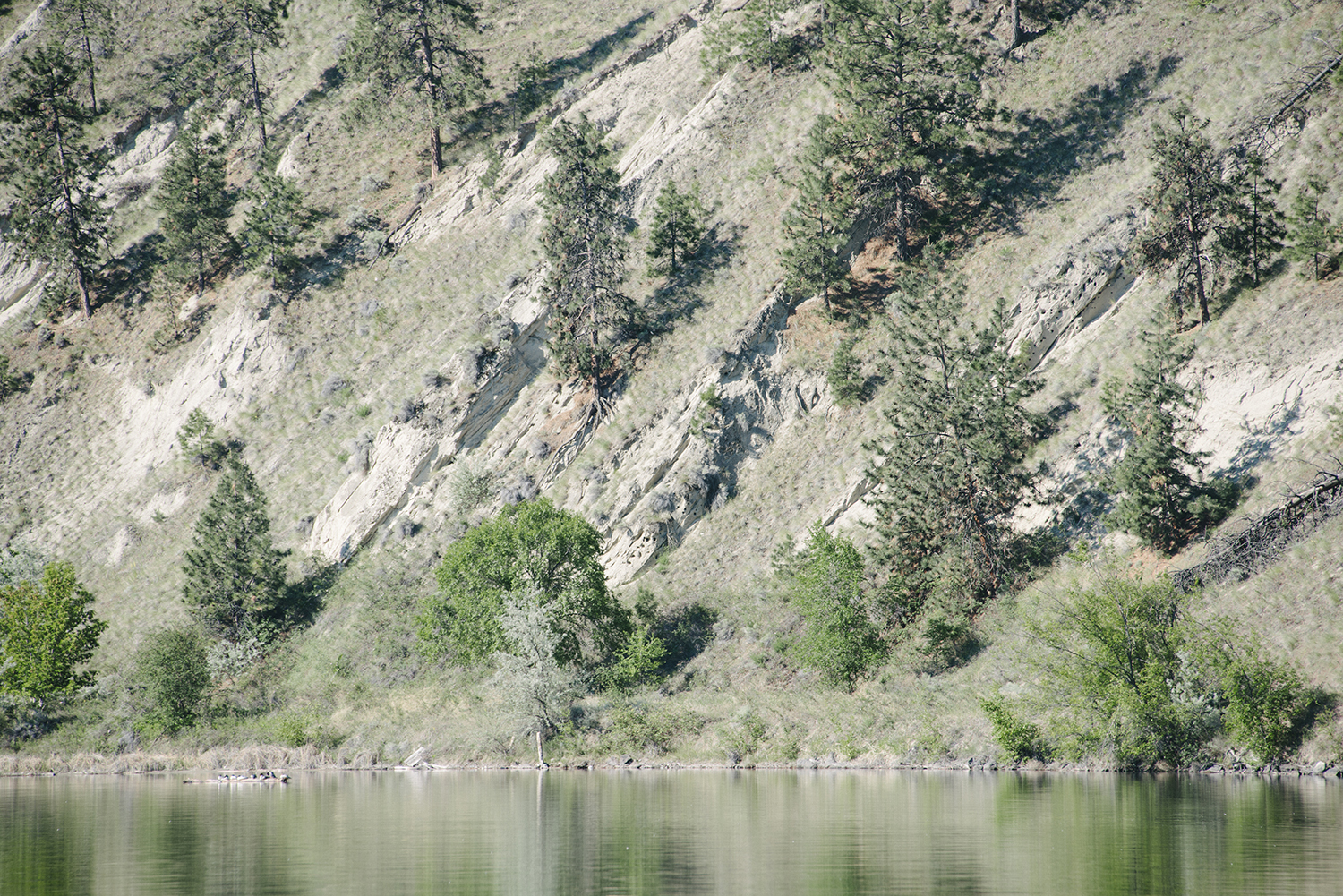 CYC_0082.jpg