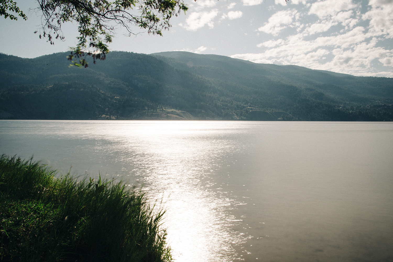 CYC_0120-2.jpg