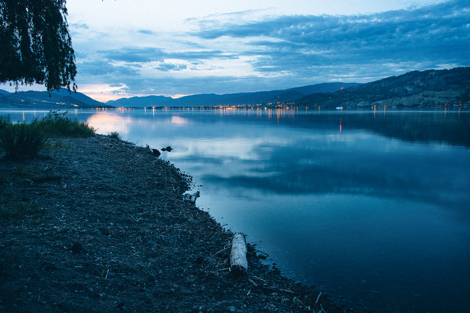 CYC_0151.jpg