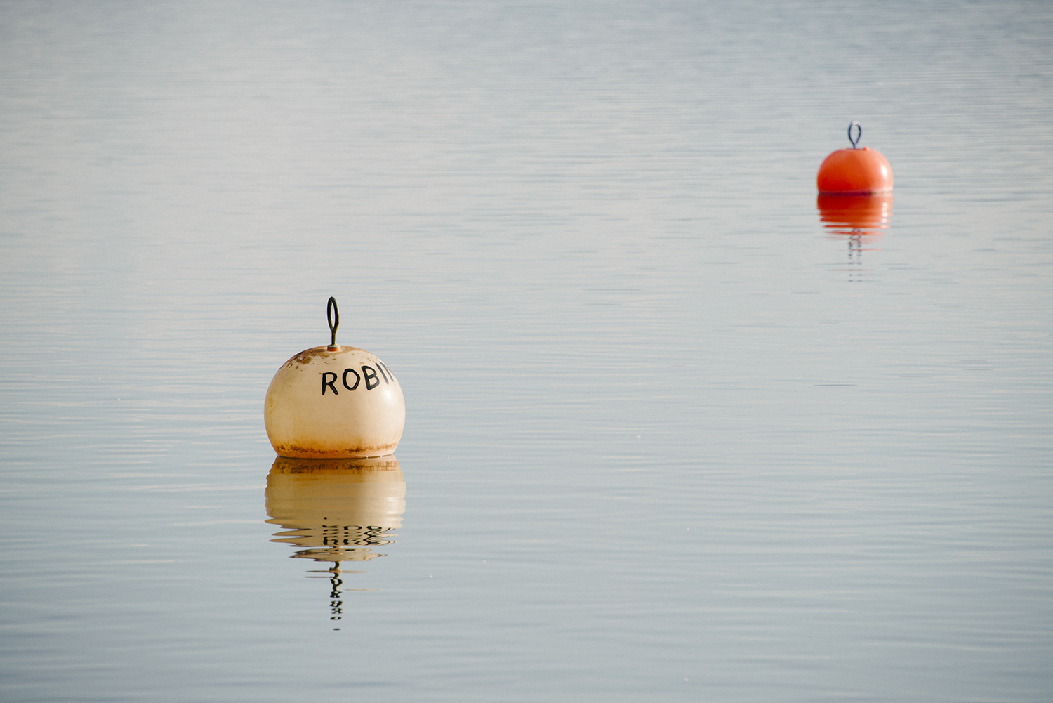 CYC_0182.jpg