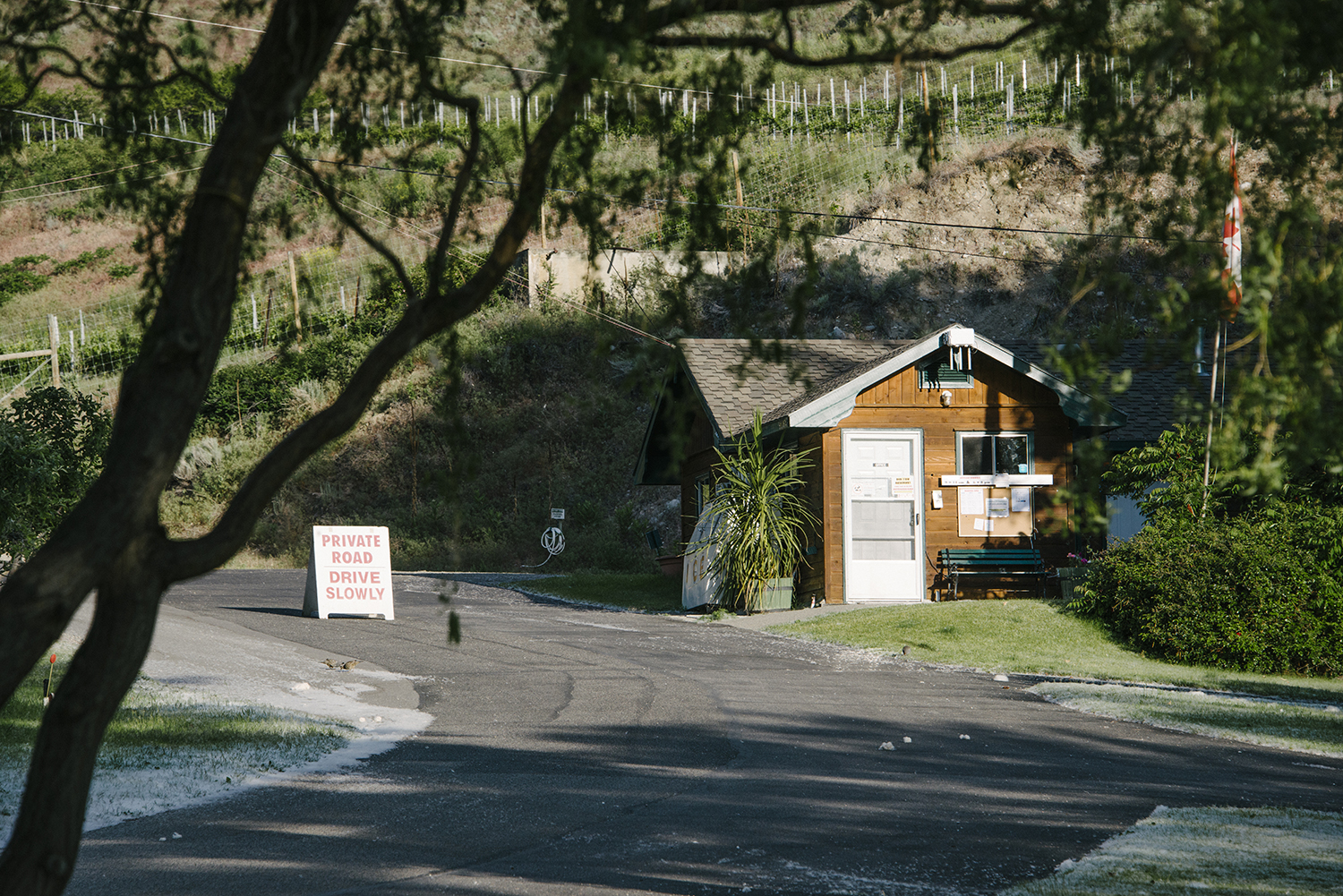 CYC_0179.jpg