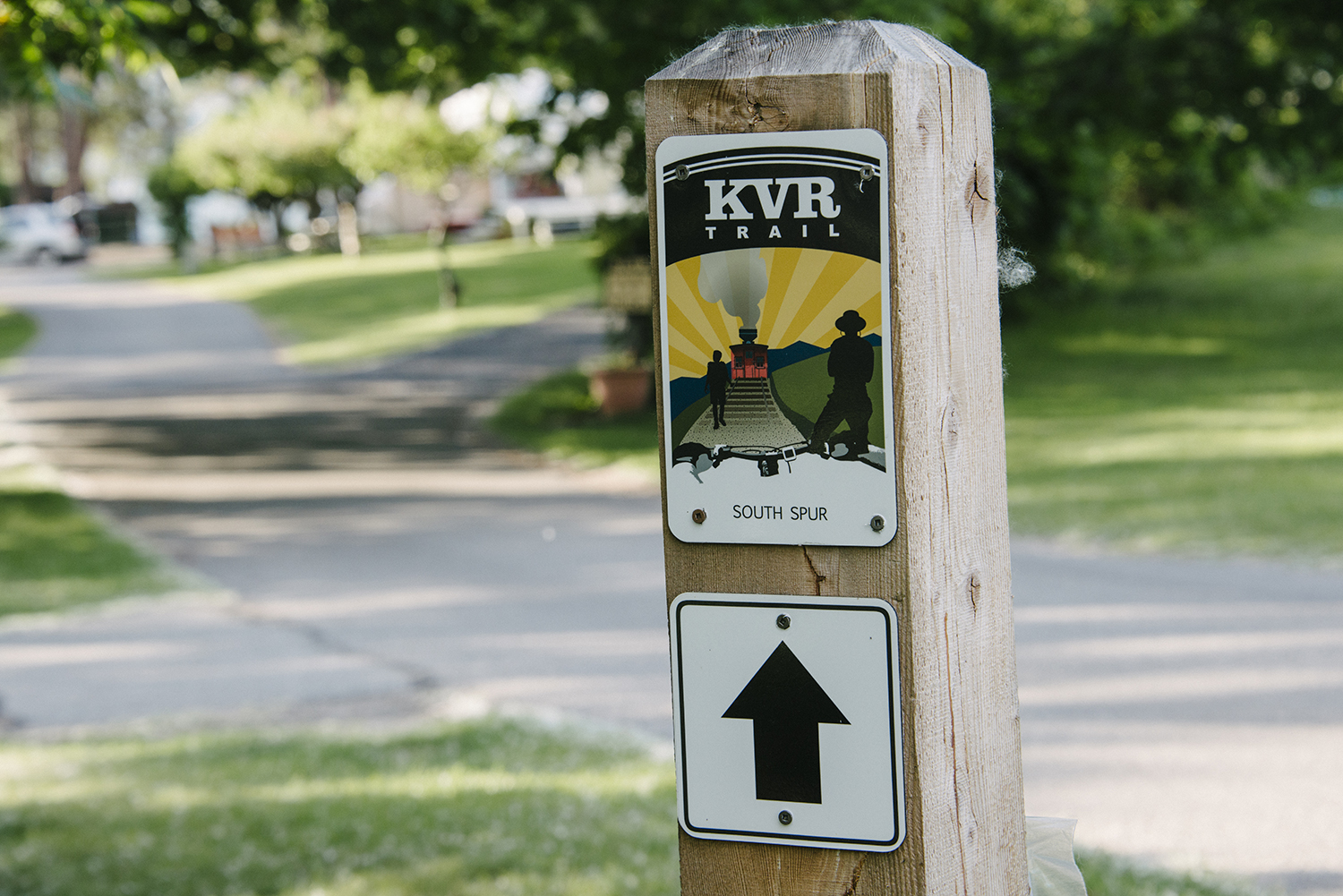 CYC_0186.jpg