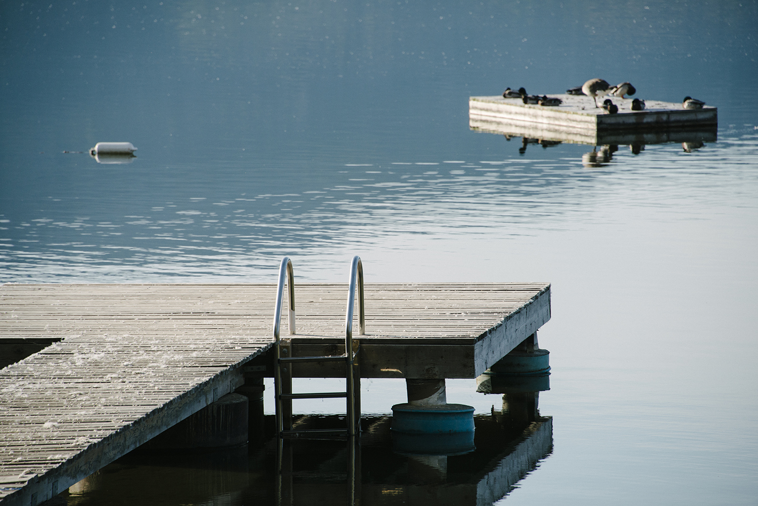 CYC_0192.jpg