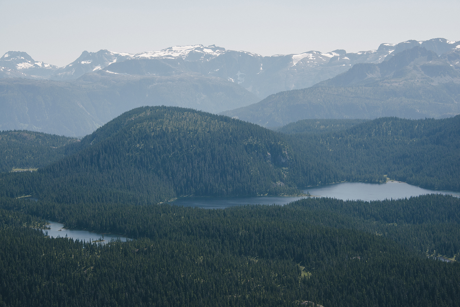 CYC_0104.jpg