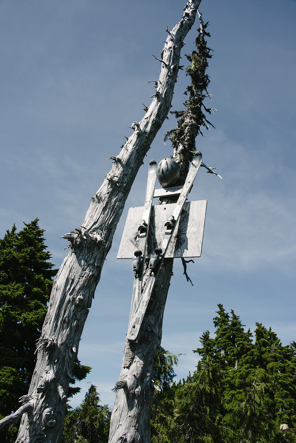CYC_0106.jpg