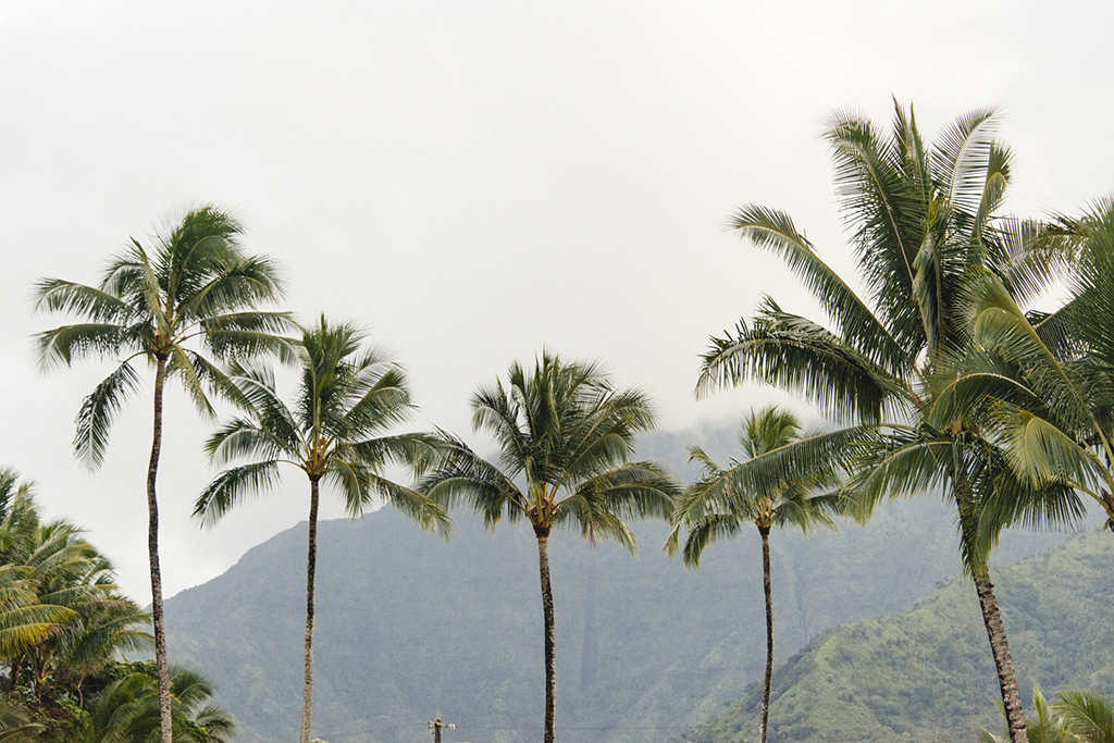 Kauai_slideshow_0739.jpg