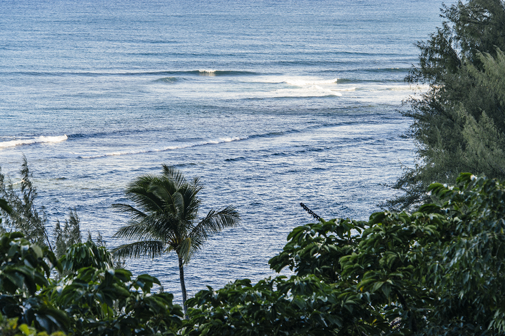 Kauai_slideshow_0782.jpg