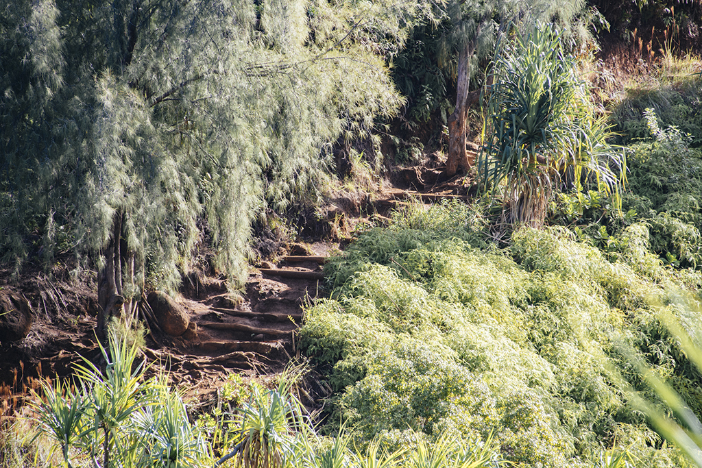 Kauai_slideshow_0805.jpg