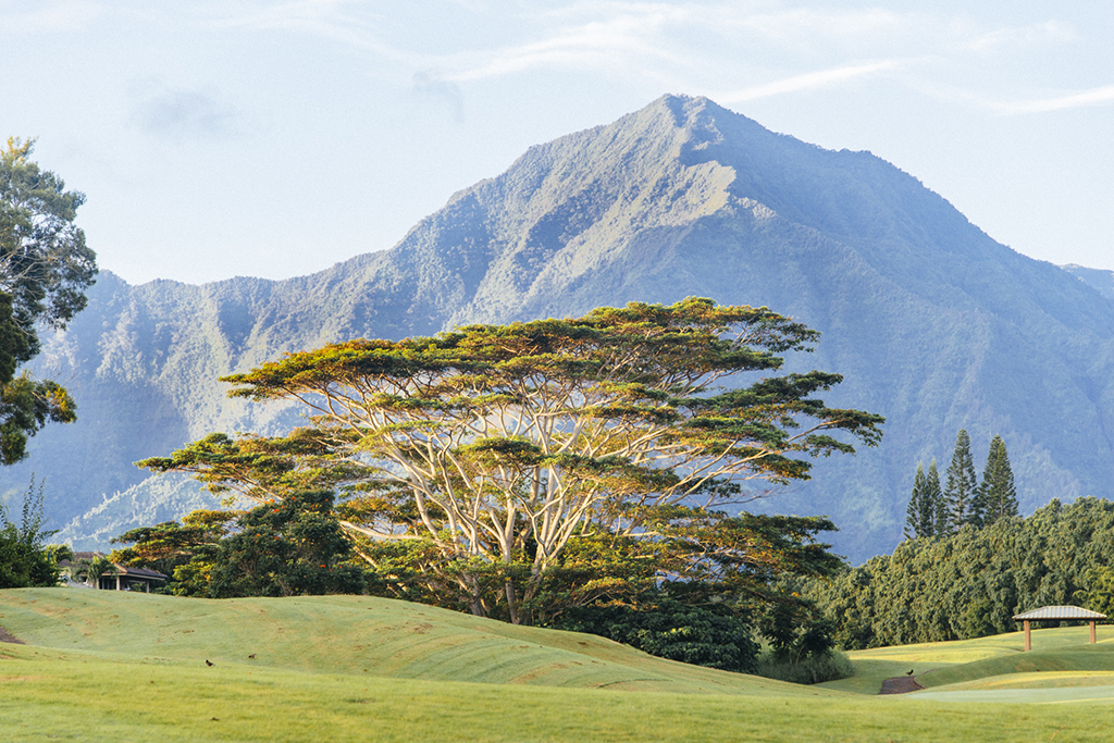 Kauai_slideshow_0956.jpg