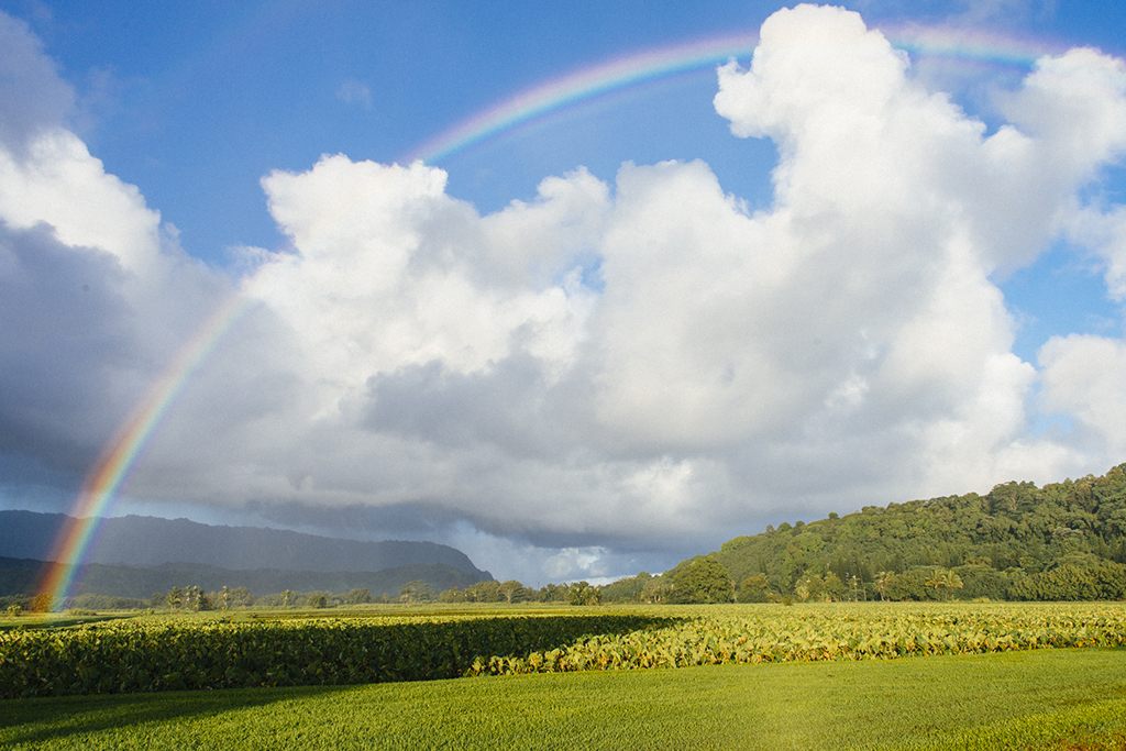 Kauai_slideshow_1164.jpg