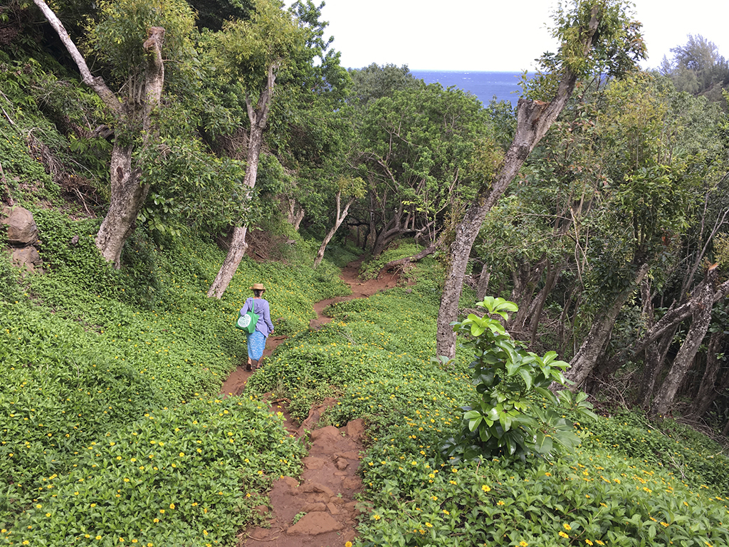 Kauai_slideshow_1237.jpg