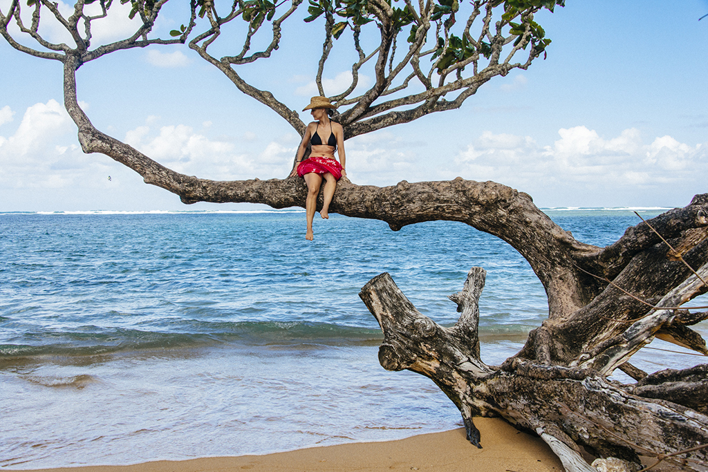 Kauai_slideshow_1306.jpg