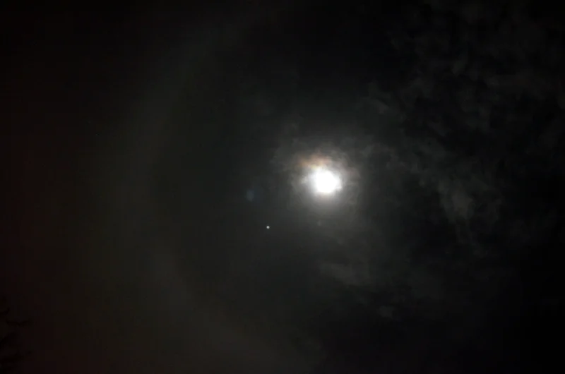moonlight.jpg
