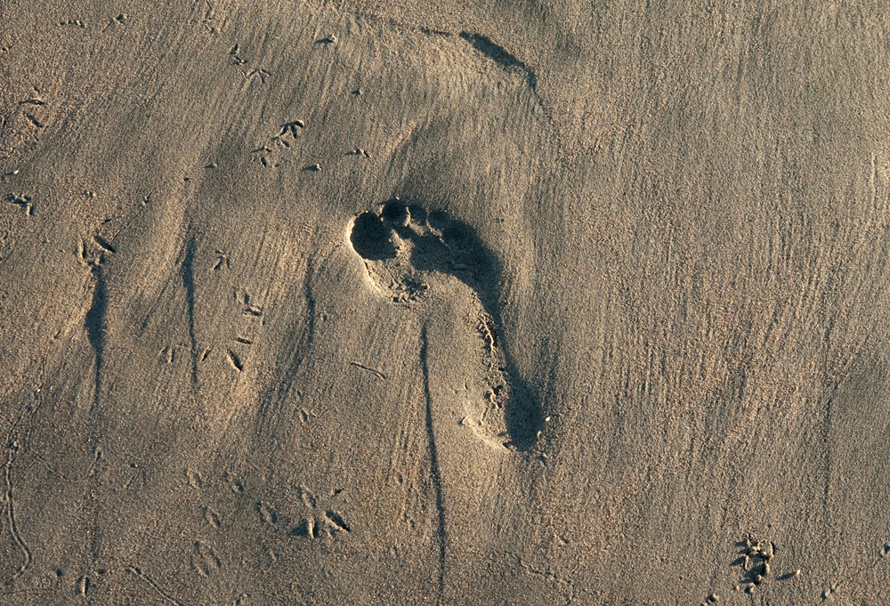 ghorvath-barefoot.jpg