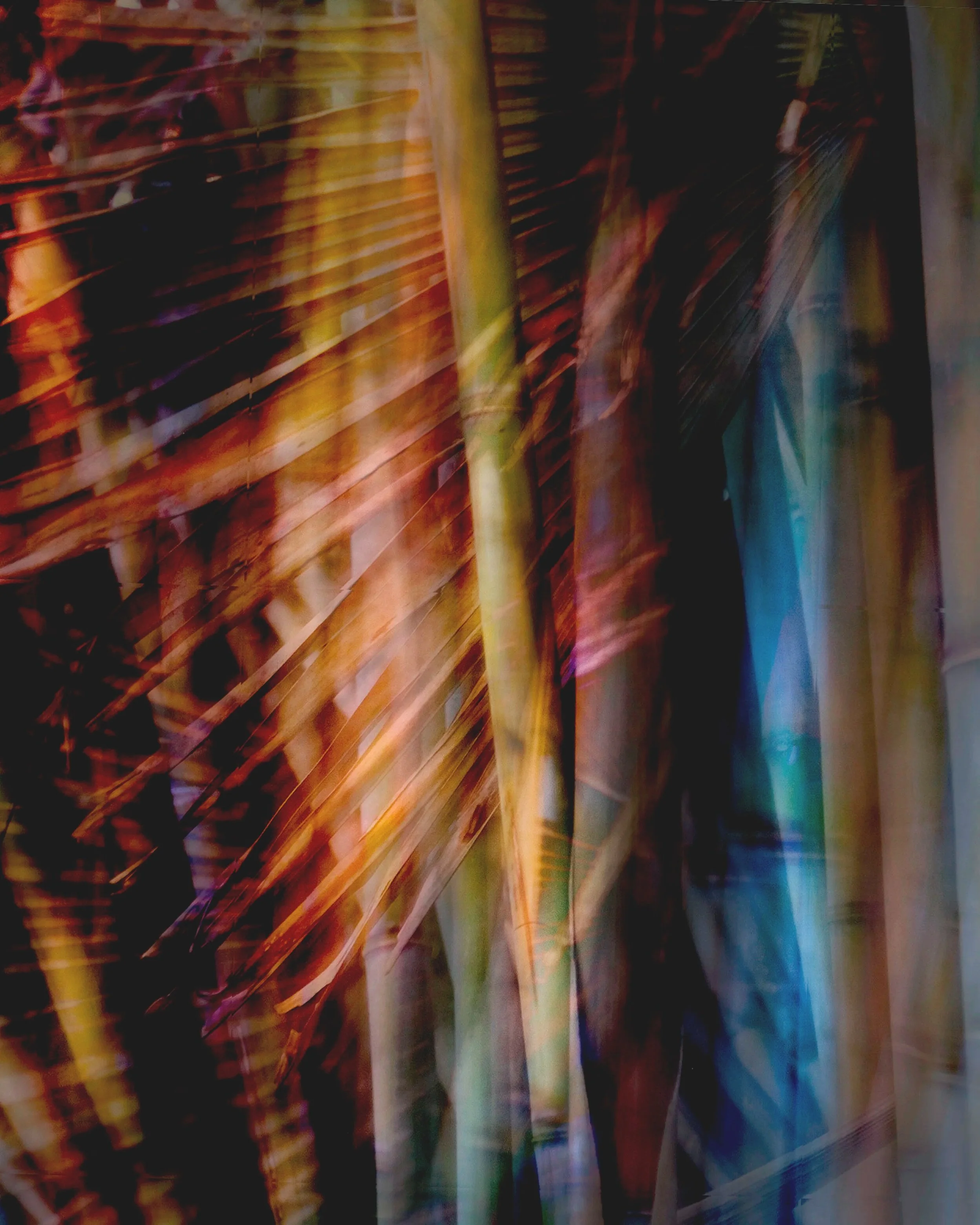 Blended+Bamboo.jpg