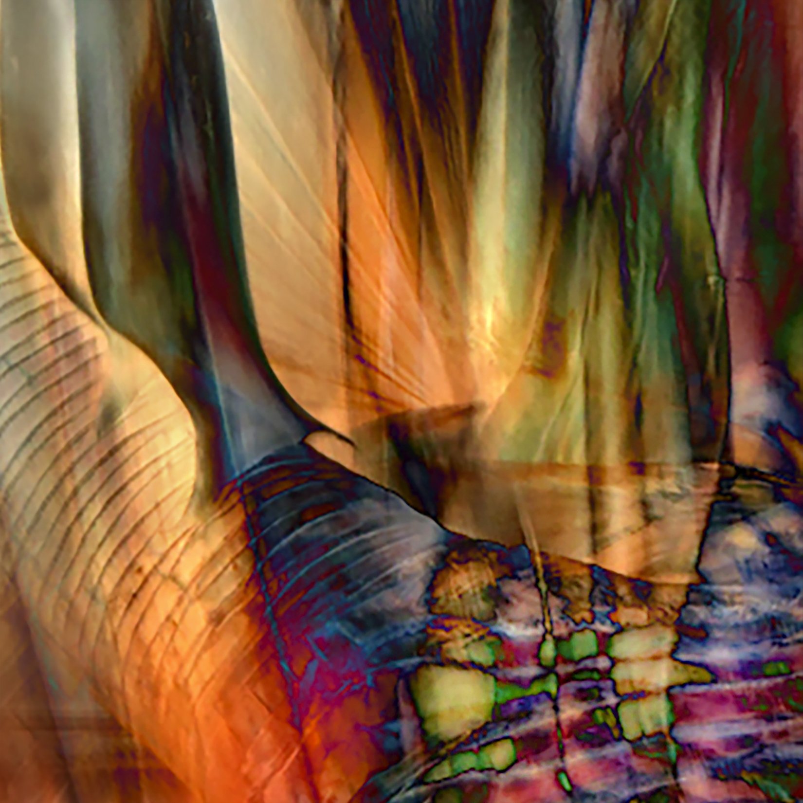palm abstract.jpg