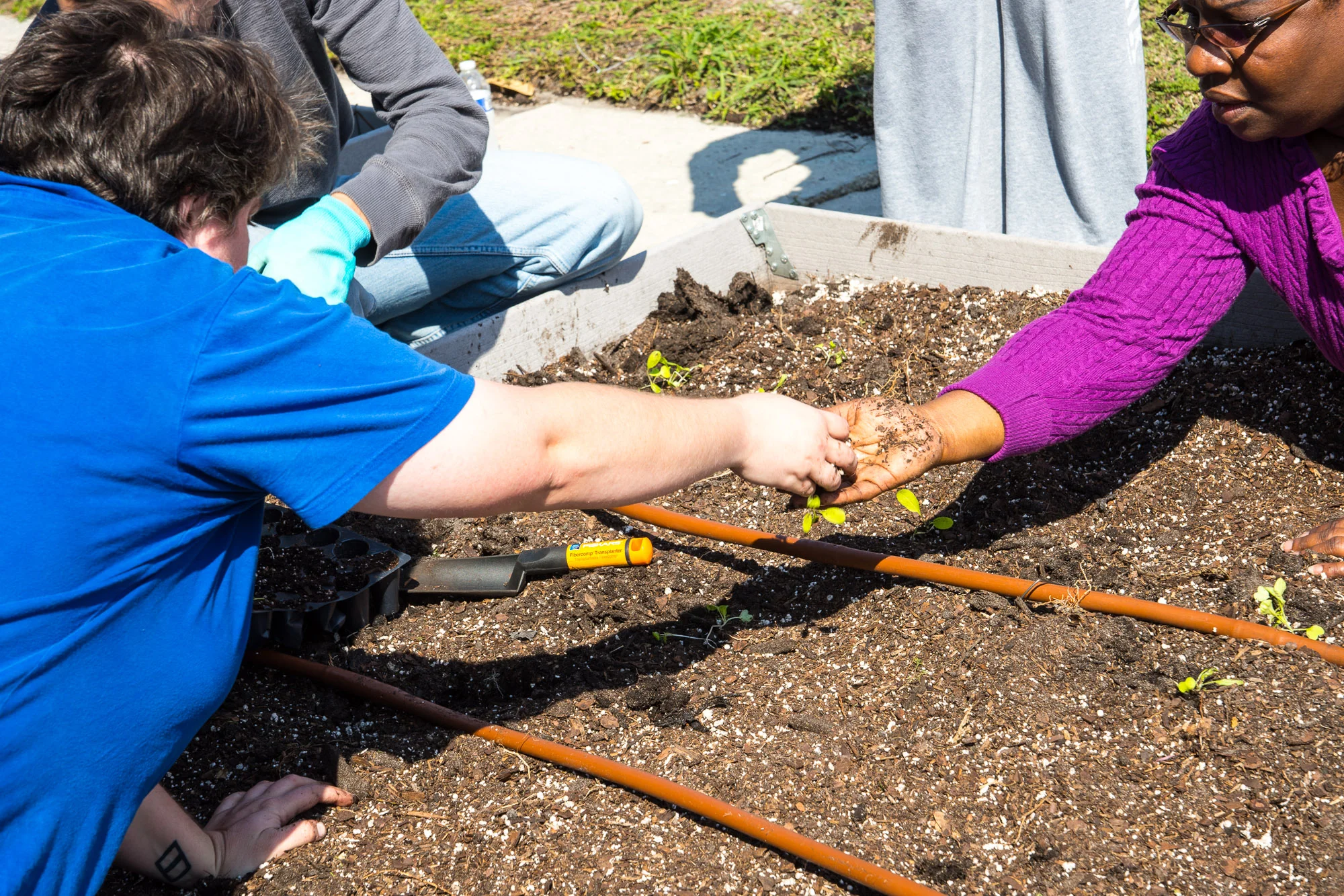 Garden_Day-33.jpg