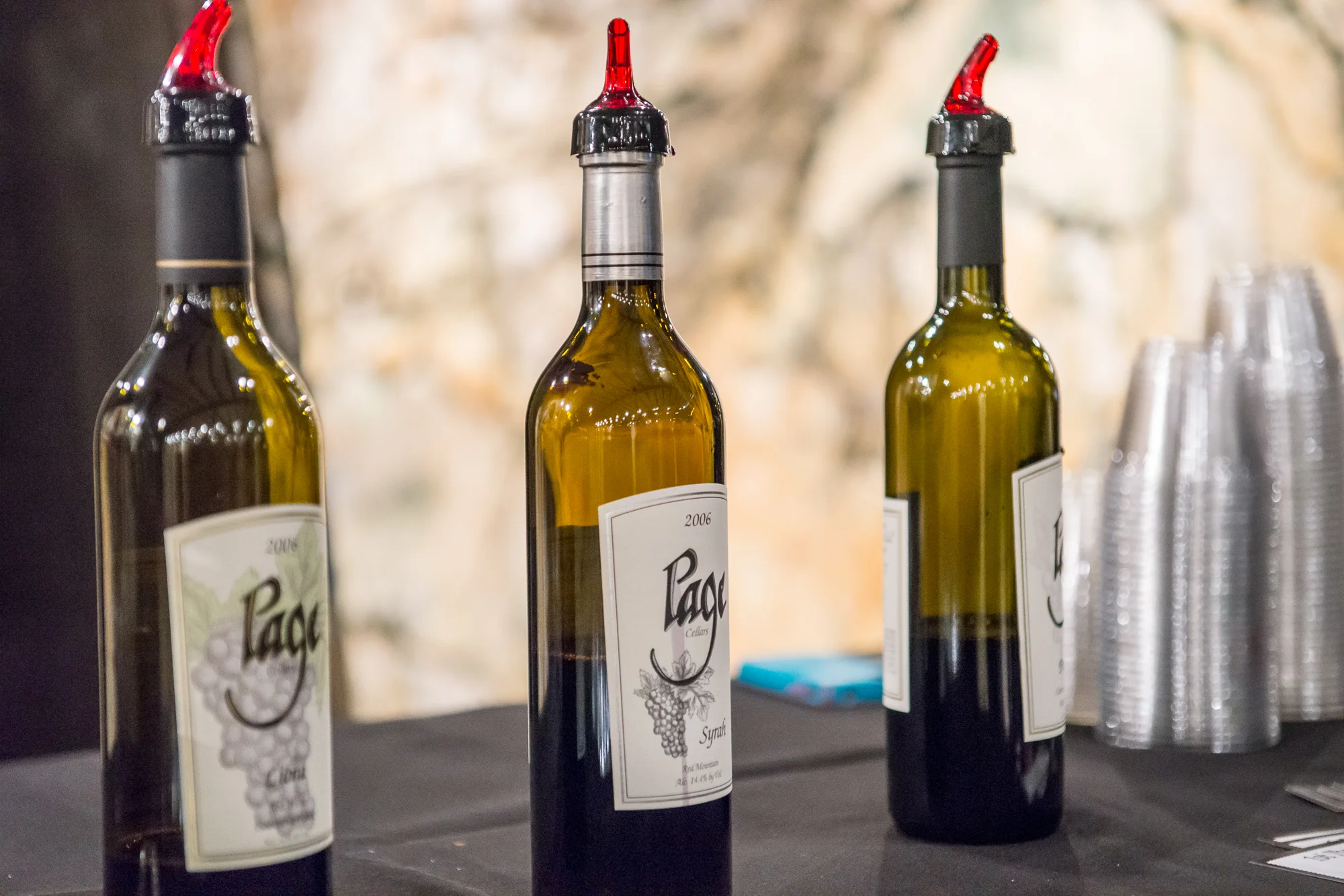 PNTWA-2013-Color-Web-19.jpg