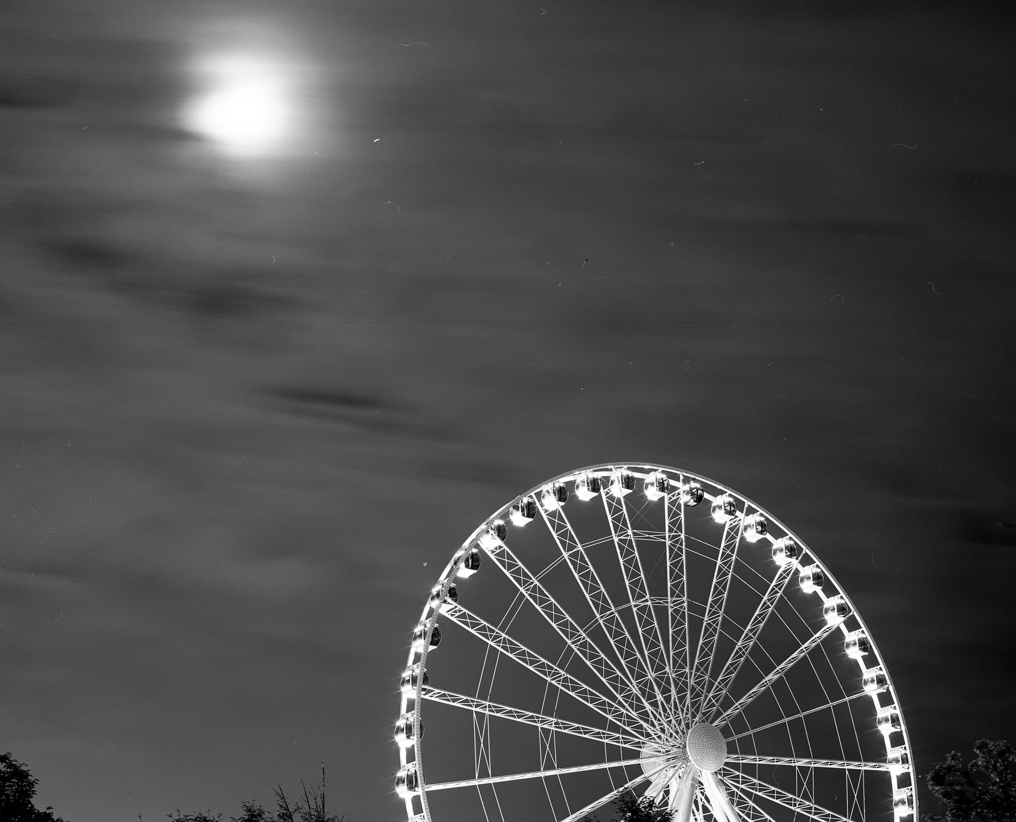 Image taken with Mamiya RB67 + Fujifilm Acros Neopan 100 and developed in Ilford Ilfosol 3.