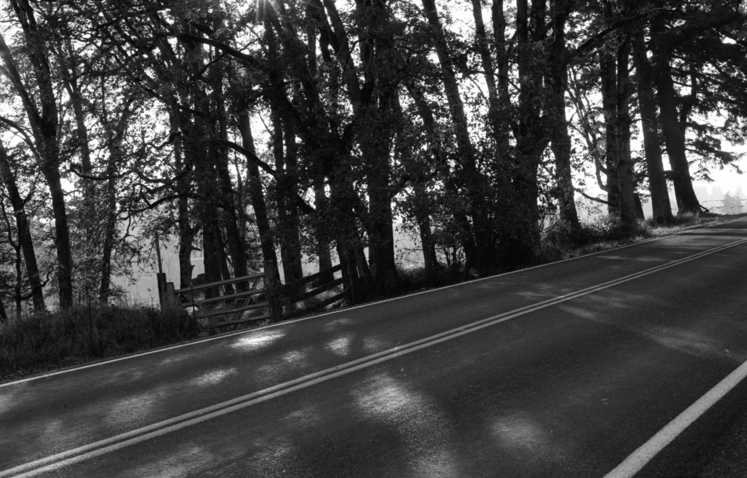 I just simply loved this scene. It's not often we get this kind of sun coming through the branches of trees in this part of the Pacific Northwest. Image shot with Leica M6 + Ilford HP5 at 50mm and developed in Kodak HC-110.