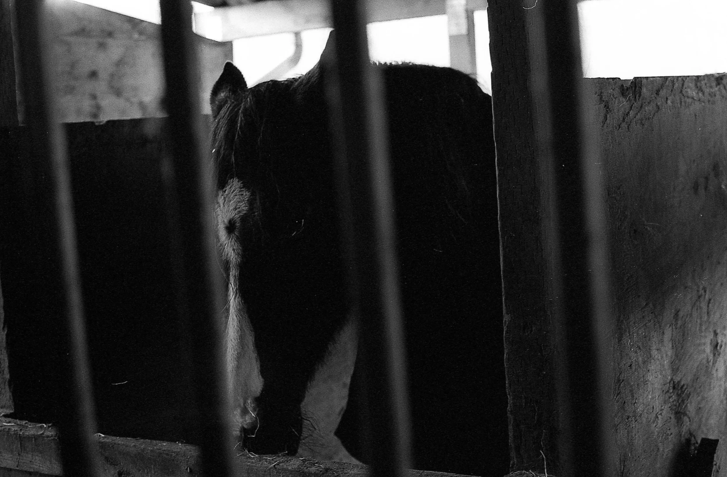 20140220_m6_delta400_52_Weeks-2.jpg