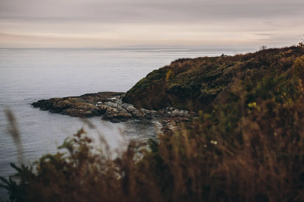 victoria-bc-beach-landscape-sunset.jpg