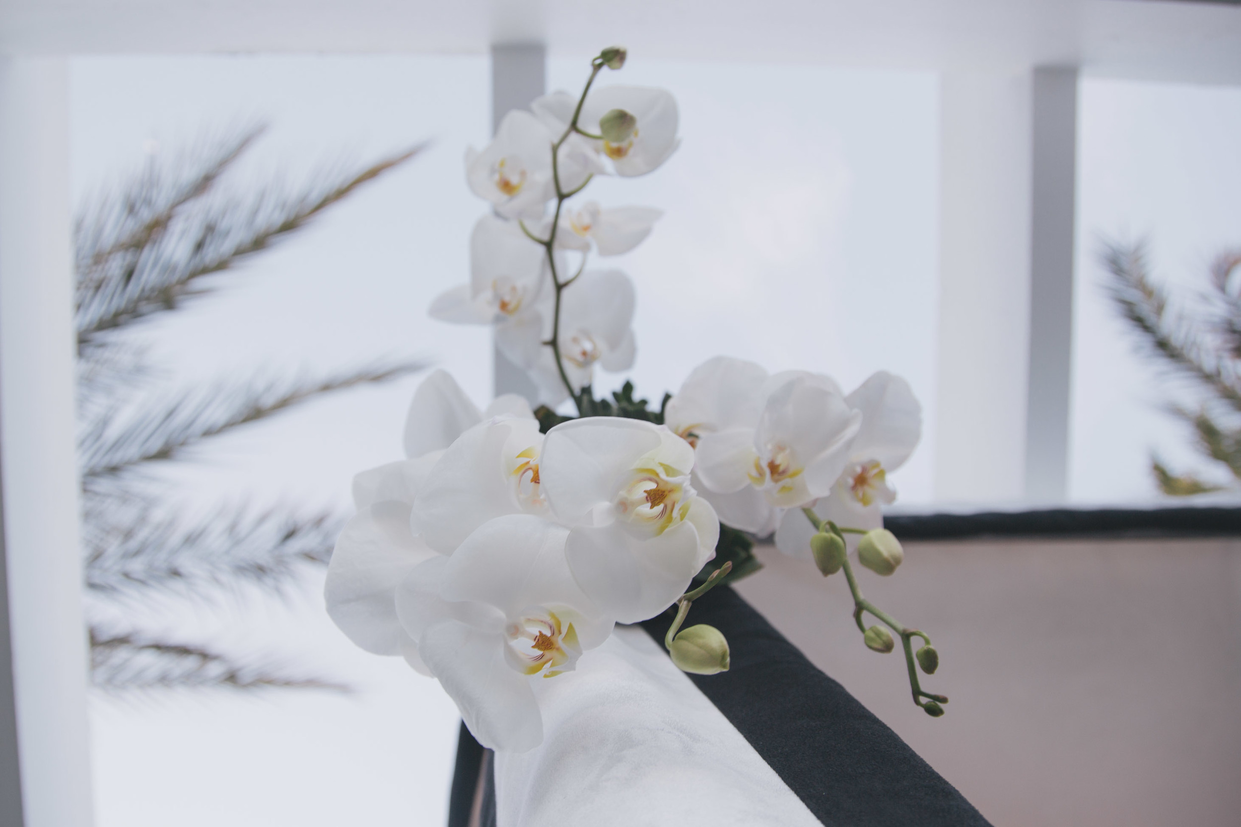 20130217-118A9115.jpg