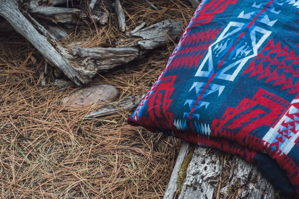 3cd95-canada-goose-pendleton-paws-up-13.jpg