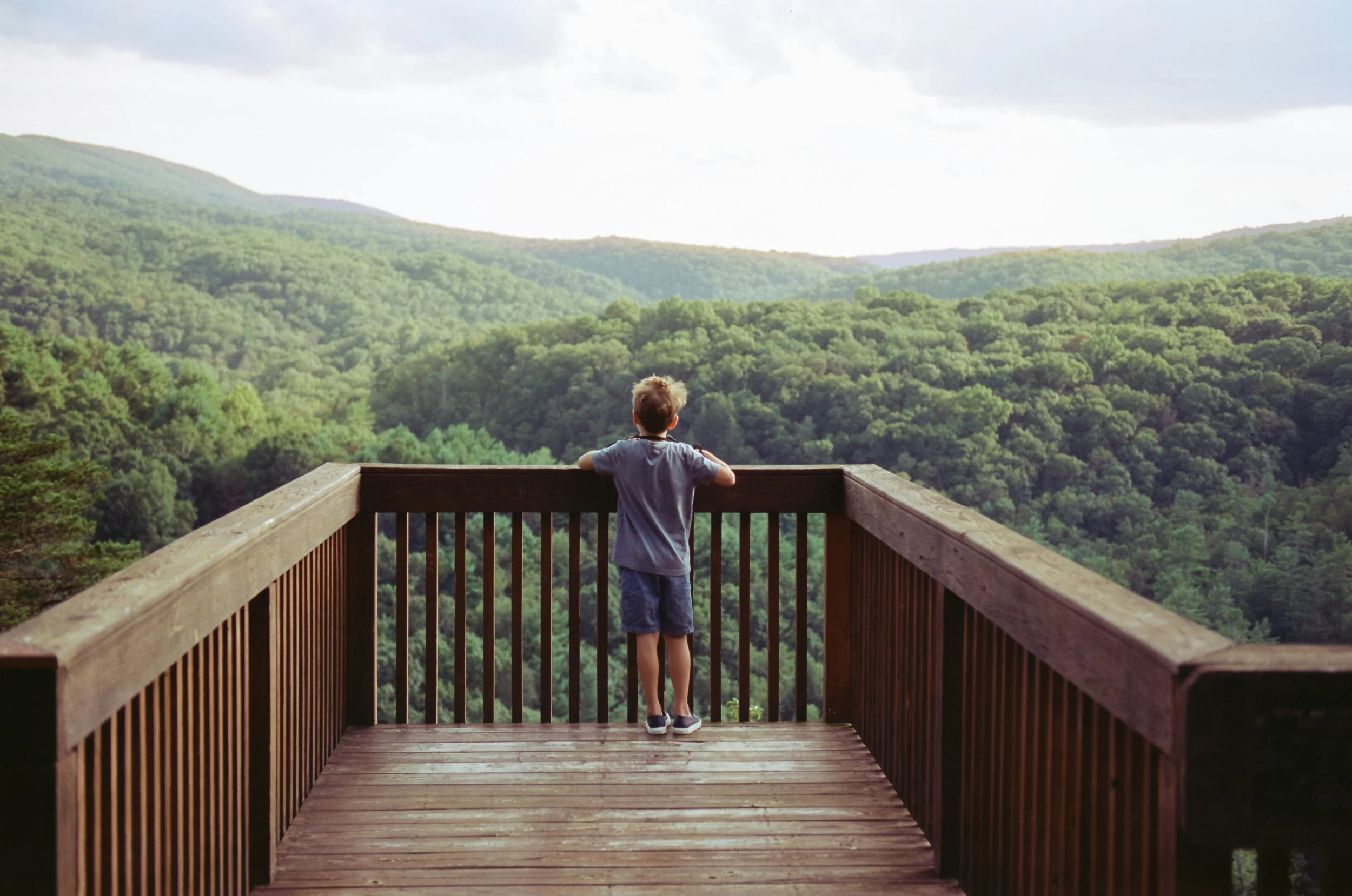 Copy of 35mm- Nikon F100/24-70ƒ2.8/Cinestill50d