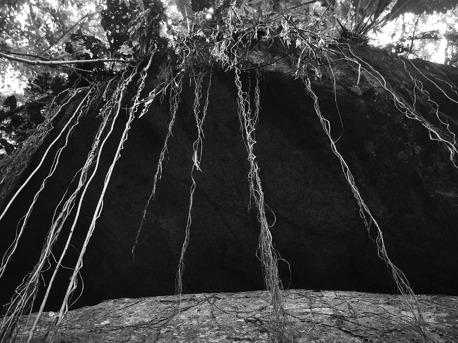 Shaman's Lair