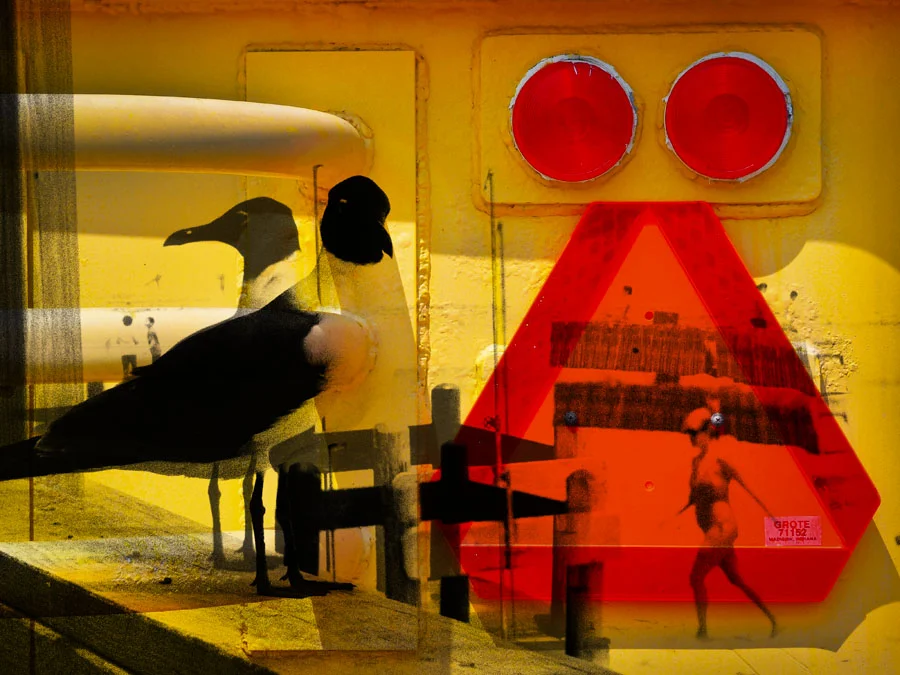 "Strange Bird" from the LithoFusion collection © 2012 Skip Hunt