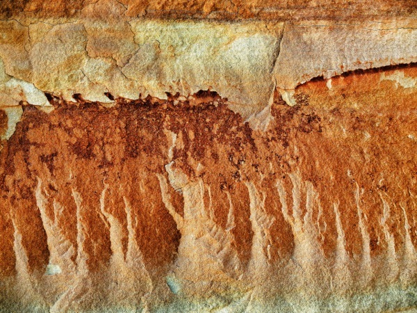 Transient