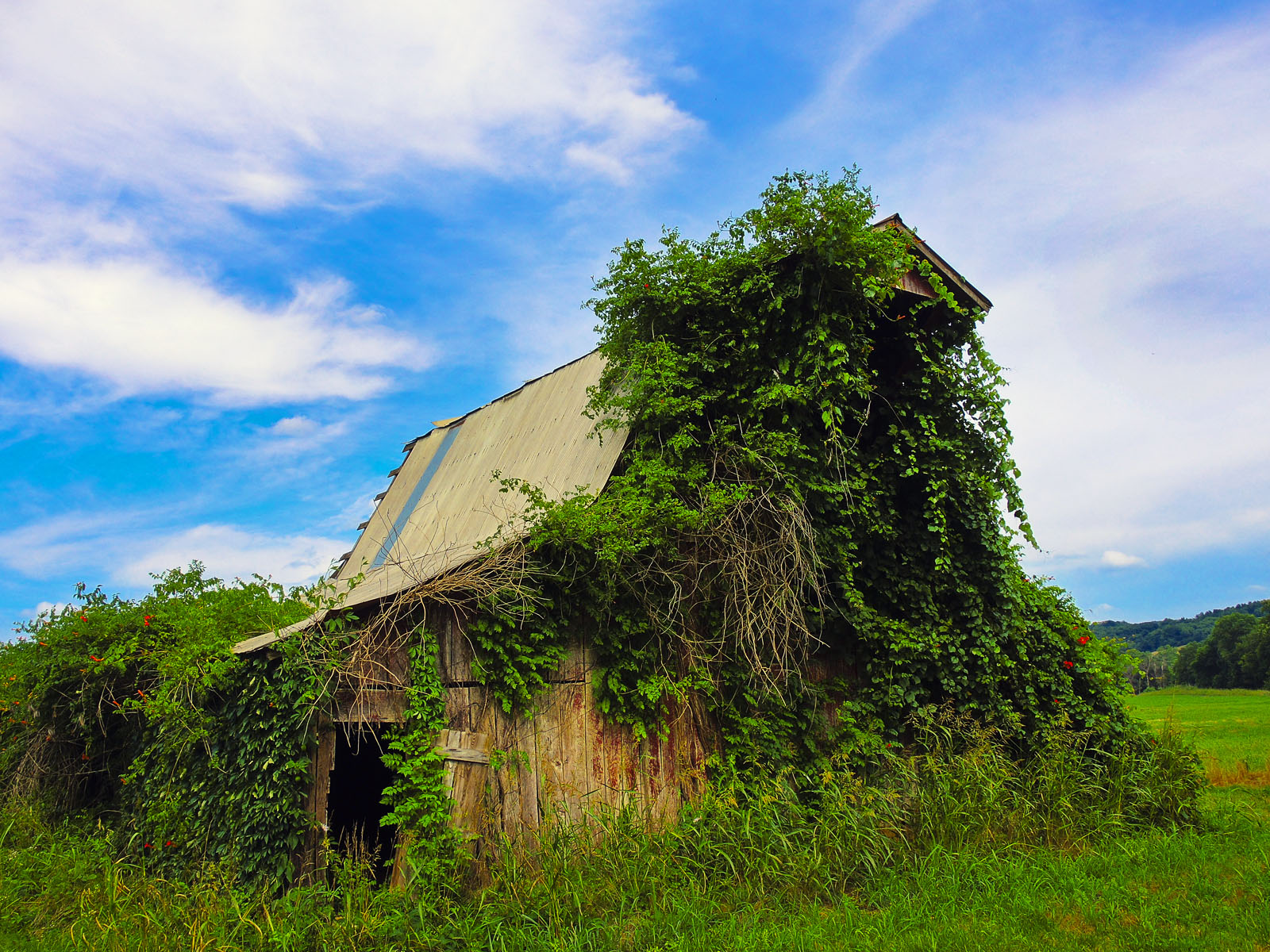 "Barn Dance" ~ Ozarks, Arkansas © 2014 Skip Hunt