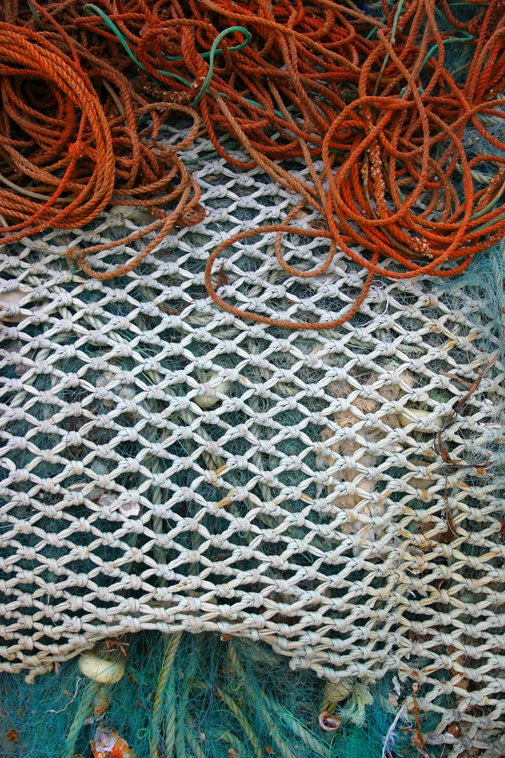 Tavira Nets