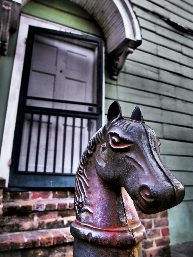 Horseplay