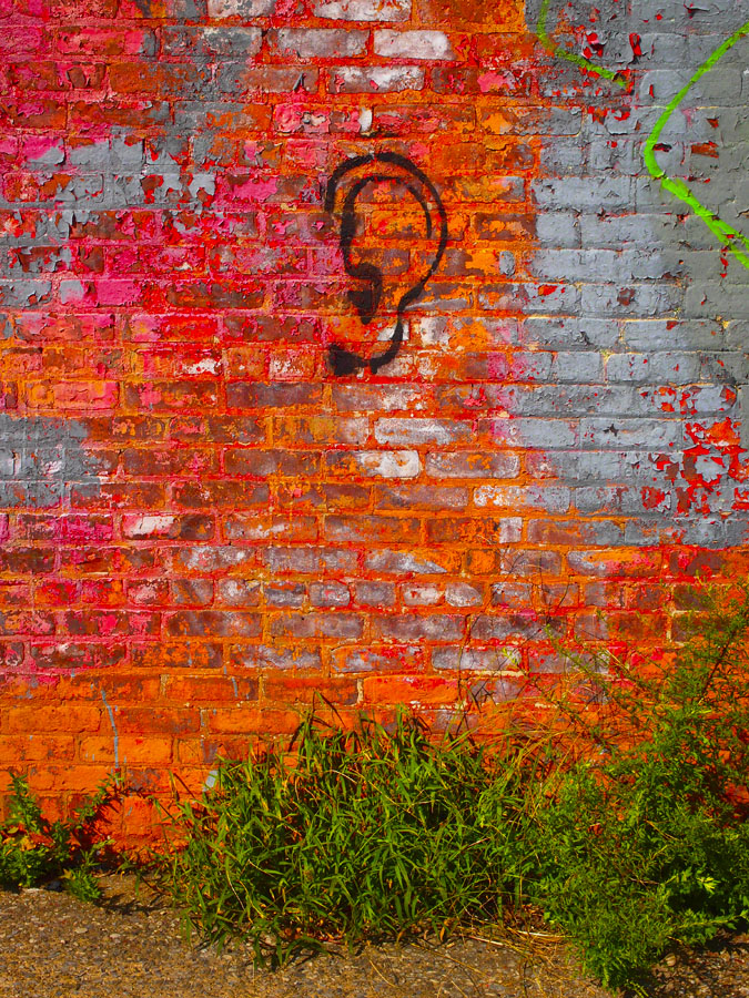 Synesthete