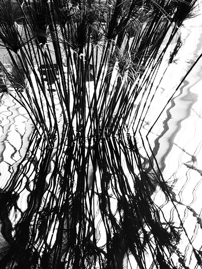 Frequency Theory