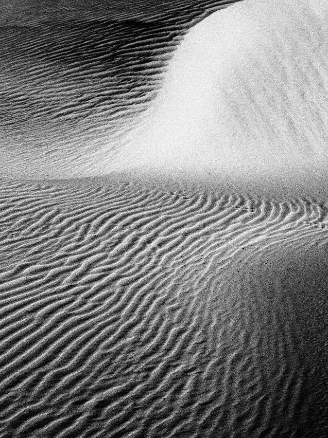 Dune